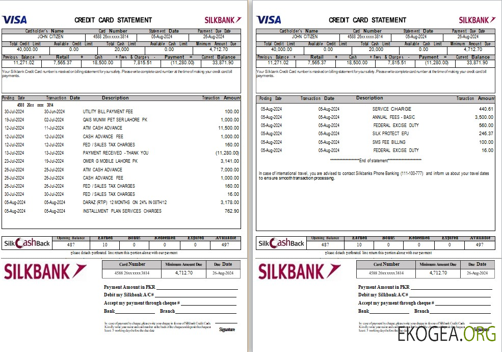Modèle Word et PDF de déclaration de la Pakistan Silkbank, 2 pages